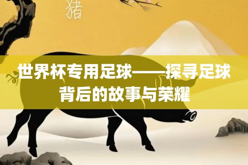 世界杯专用足球——探寻足球背后的故事与荣耀吉安市靖泰电力工程有限公司