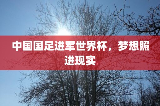 中国国足进军世界杯，梦想照进现实