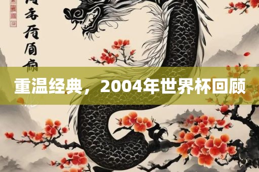重温经典，2004年世界杯回顾