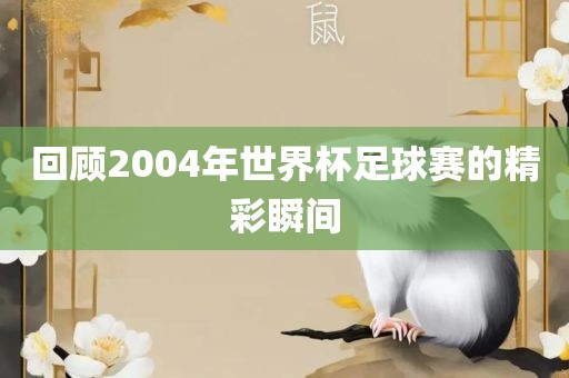回顾2004吉安市靖泰电力工程有限公司年世界杯足球赛的精彩瞬间