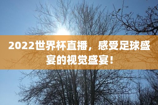 2022世界杯直播，感受足球盛宴的视觉吉安市靖泰电力工程有限公司盛宴！