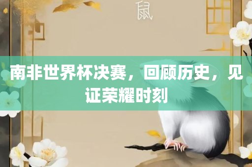 南非世界杯决赛，回顾历史，见证荣耀时刻