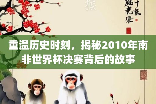 重温历史时刻，揭秘2010年南非世界杯决赛背后的故事吉安市靖泰电力工程有限公司