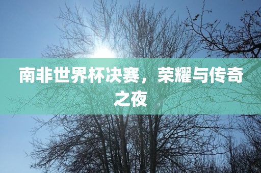 南非世界杯决赛，荣耀与传奇之夜