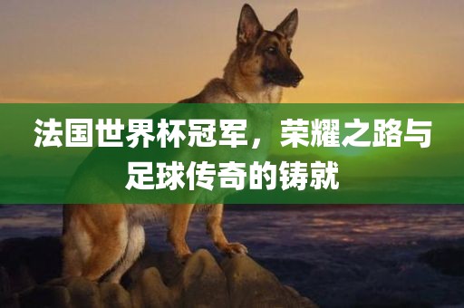 法国世界杯冠军，荣耀之路与足球传奇的铸就吉安市靖泰电力工程有限公司