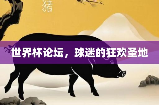 世界杯论坛，球迷的狂欢圣地