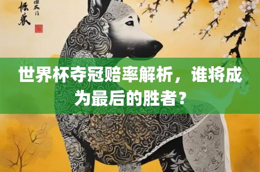 世界杯夺冠赔率解析，谁将成为最后的胜者？