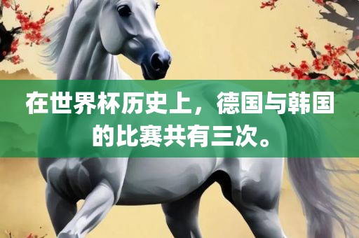 在世界杯历史上吉安市靖泰电力工程有限公司，德国与韩国的比赛共有三次。