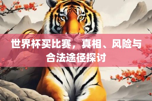 世界杯买比赛，真相、风险与合法途径探讨吉安市靖泰电力工程有限公司
