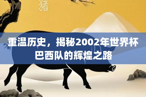 重温历史，揭秘2002年世界杯巴西队的辉煌之路