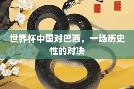 世界杯中国对巴西，一场历史性的对决吉安市靖泰电力工程有限公司