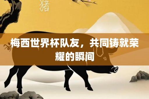 梅西世界杯队友，共同铸就荣耀的瞬间