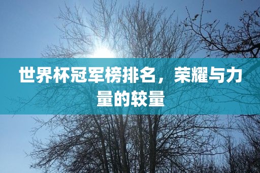 世界杯冠军榜排名，荣耀与力量的较量