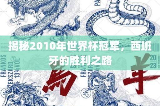 揭秘2010年世界杯冠军，西班牙的胜利之路吉安市靖泰电力工程有限公司