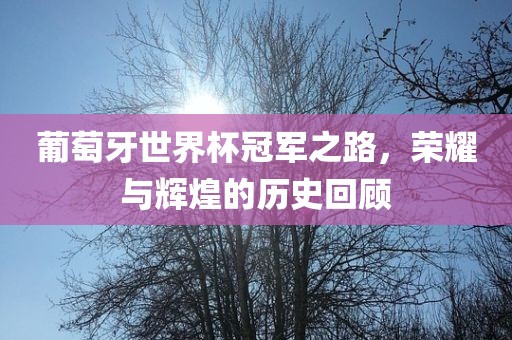 葡萄牙世界杯冠军之路，荣耀与辉煌的历史回顾吉安市靖泰电力工程有限公司
