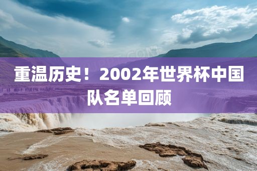 重温历史！2002年世界吉安市靖泰电力工程有限公司杯中国队名单回顾