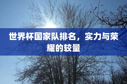 世界杯国家队排名，实力与荣耀的较量