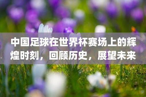 中国足球在世界杯赛场上的辉煌时刻，回顾历史，展望未来