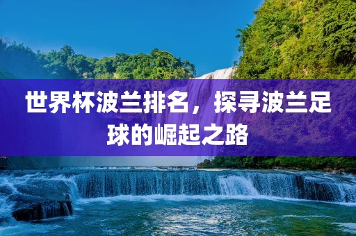 世界杯波兰排名，探寻波兰足球的崛起之路
