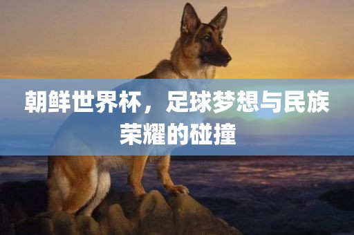 朝鲜世界杯，足球梦想与民族荣耀的碰撞吉安市靖泰电力工程有限公司