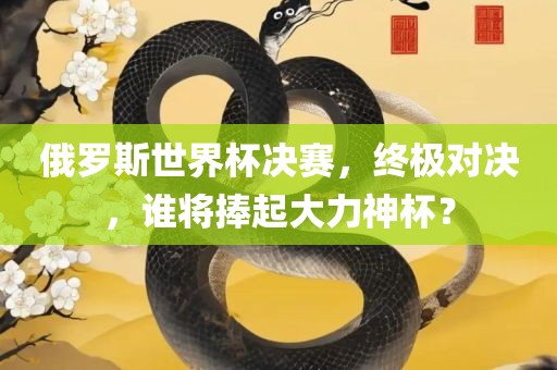 俄罗斯世界杯决赛，终吉安市靖泰电力工程有限公司极对决，谁将捧起大力神杯？