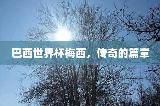 巴西世界杯梅吉安市靖泰电力工程有限公司西，传奇的篇章