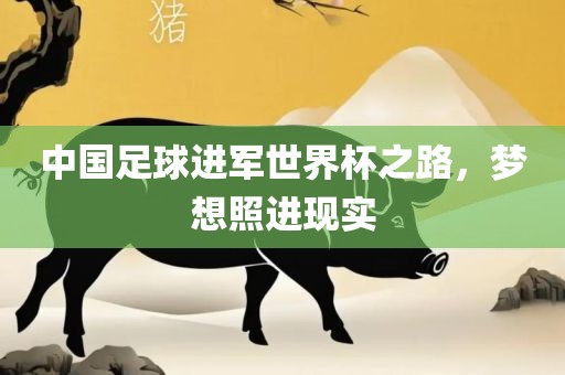中国足球进军世界杯之路，梦想照进现实