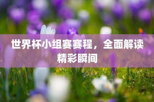 世界杯小组赛赛程，全面解读精彩瞬间