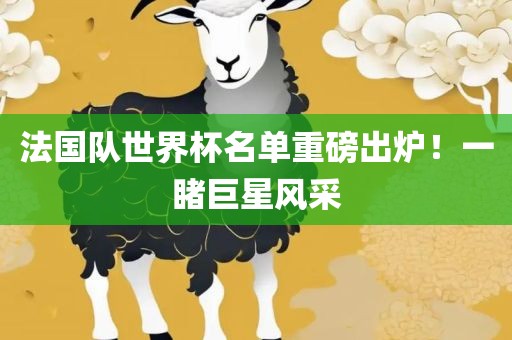 法国队世界杯名单重磅出炉！一睹巨星风采
