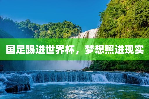 国足踢进世界杯，梦想照进现实