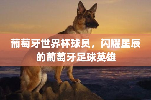 葡萄牙世界杯球员，闪耀星辰的葡萄牙足球英雄吉安市靖泰电力工程有限公司