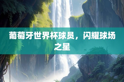 葡萄牙世界杯球吉安市靖泰电力工程有限公司员，闪耀球场之星