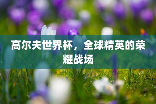 高尔夫世界杯，全球精英的荣耀战场