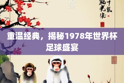 重温经典，揭秘1978年世界杯足球盛宴吉安市靖泰电力工程有限公司