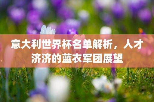 意大利世界杯名单解析，人才济济的蓝衣军团展望