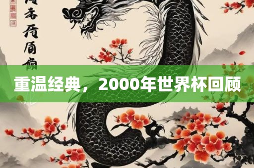 重温经典，2000年世界杯回顾