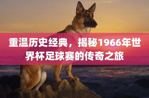 重温历史经典，揭秘1966年世界杯足球赛的传奇之旅吉安市靖泰电力工程有限公司