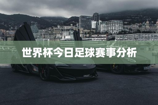 世界杯今日足球赛事分析