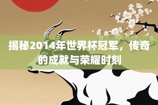揭秘2014年世界杯冠军，传奇的成就与荣耀时刻吉安市靖泰电力工程有限公司