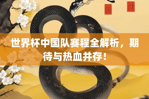 世界杯中国队赛程全解析，期待与热血并存！