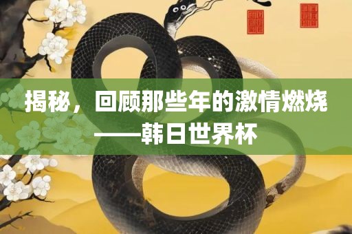 揭秘，回顾那些年的激情燃烧——韩日世界杯