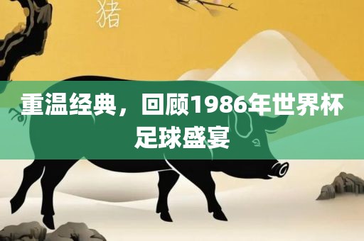 重温经典，回顾1986年世界杯足球盛宴