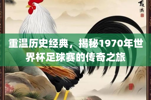 重温历史经典，揭秘1970年世界杯足球赛的传奇之旅吉安市靖泰电力工程有限公司