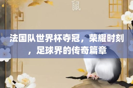 法国队世界杯夺冠，荣耀时刻，足球界的传奇篇章