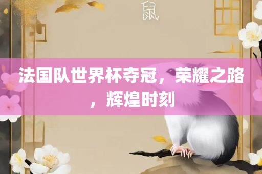 法国队世界杯夺冠，荣耀之路，辉煌时刻