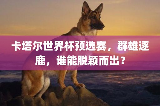卡塔尔世界杯预选赛，群雄逐鹿，谁能脱颖而出？