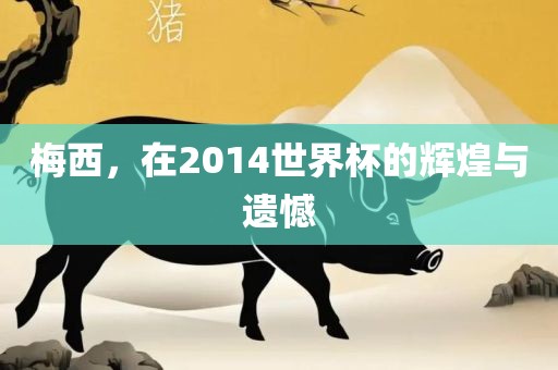 梅西，在2014世界杯的辉煌与遗憾