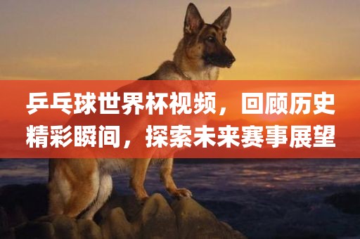 乒乓球世界杯视频，回顾历史精彩瞬间，探索未来赛事展望吉安市靖泰电力工程有限公司