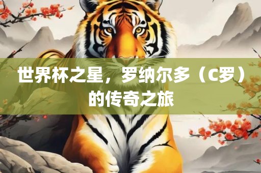 世界杯之星，罗纳尔多（C罗）的传奇之旅吉安市靖泰电力工程有限公司