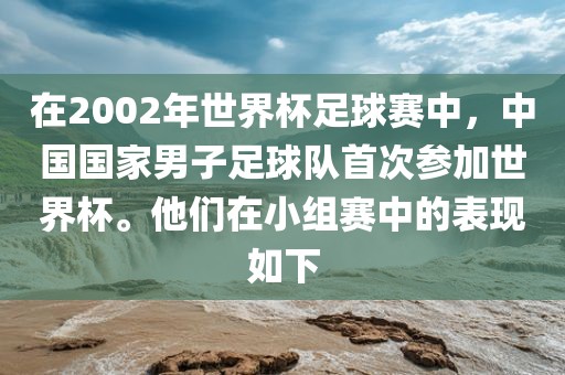 在2002年世界杯足球赛中，中国国家男子足球队首次参加世界杯。他们在小组赛中的表现如下
